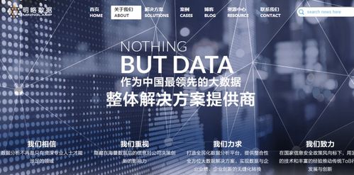 提供技術分析和應用解決方案,明略數據要成為中國大數據分析應用解決方案的獨角獸
