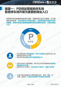 2017中國智慧停車行業(yè)大數(shù)據(jù)報(bào)告 數(shù)據(jù)驅(qū)動的停車革新